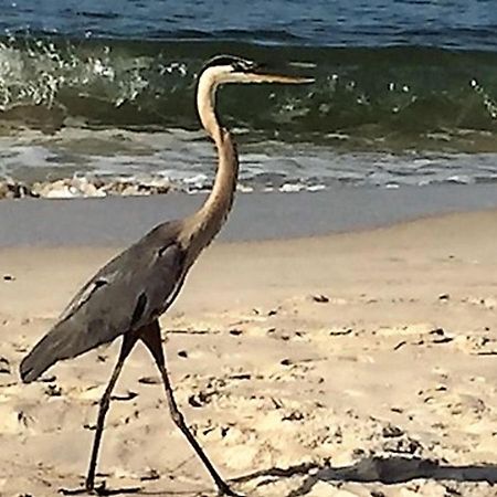 Phoenix Gulf Shores 1203 By Bender Vacation Rentals Εξωτερικό φωτογραφία